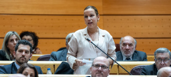 Isabel Moreno en una pregunta en el Senado, en la sesión de control al Gobierno.