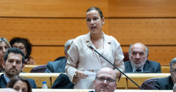 Isabel Moreno en una pregunta en el Senado, en la sesión de control al Gobierno.