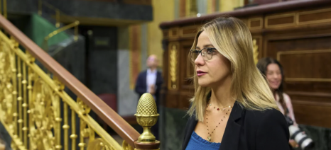 Sofía Acedo, diputada nacional del PP de Melilla. Valoración sobre la encomienda de gestión de las competencias sanitarias para Melilla, ahora gestionadas a través de Ingesa, solicitada al estado.  