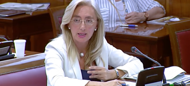 Mª del Carmen Dueñas, Senadora y Vocal de la Comisión de Sanidad y Servicios Sociales en el Senado.